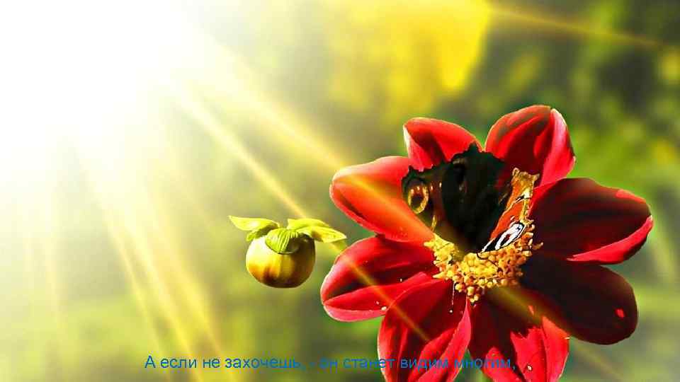 А если не захочешь, - он станет видим многим, 