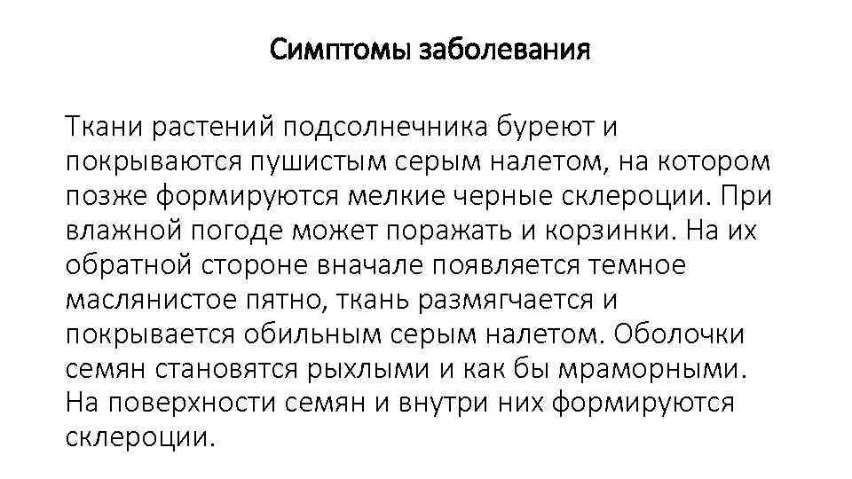      Симптомы заболевания Ткани растений подсолнечника буреют и покрываются пушистым