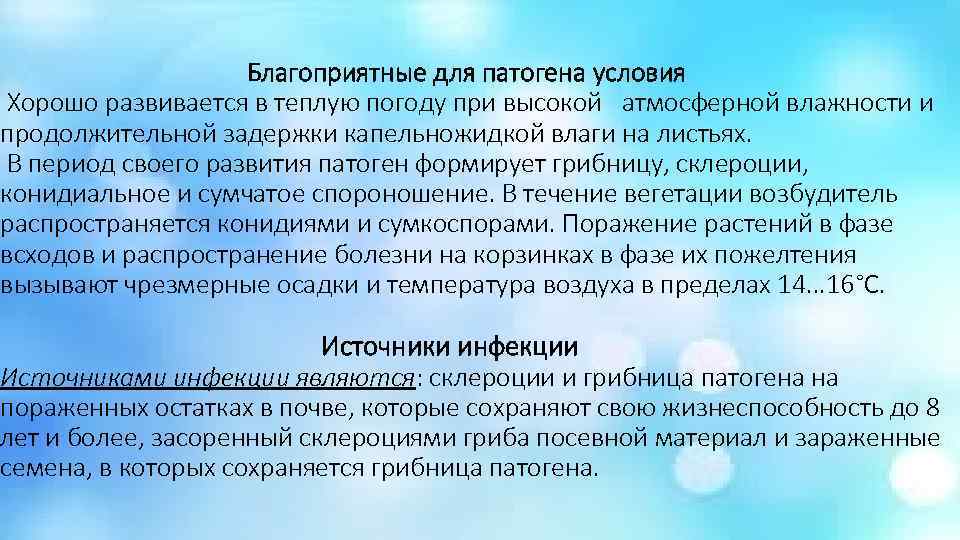     Благоприятные для патогена условия Хорошо развивается в теплую погоду при