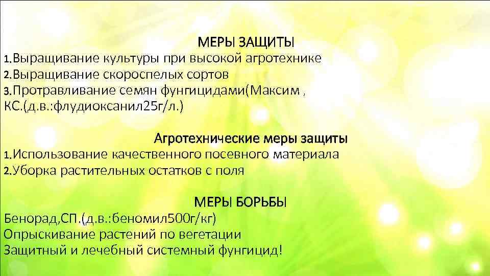      МЕРЫ ЗАЩИТЫ 1. Выращивание культуры при высокой агротехнике 2.