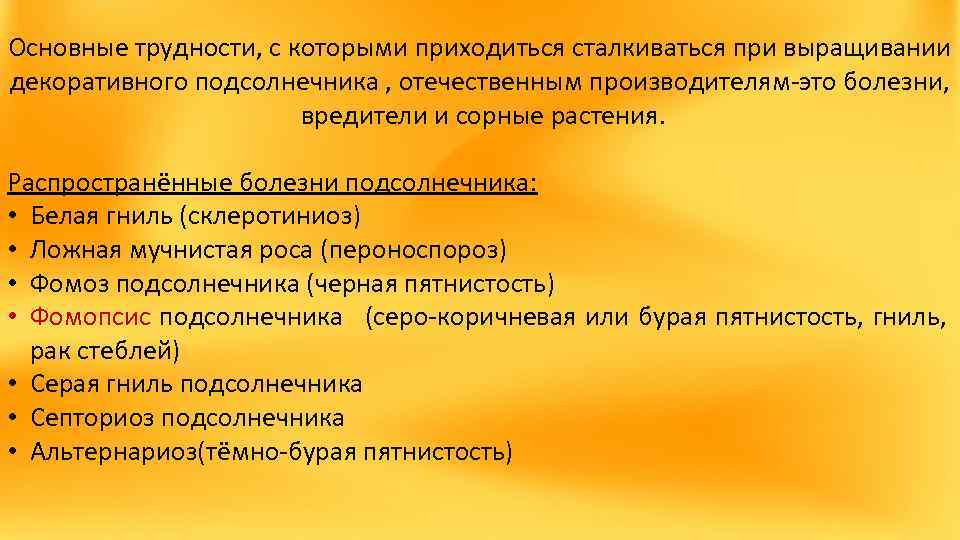 Основные трудности, с которыми приходиться сталкиваться при выращивании декоративного подсолнечника , отечественным производителям-это болезни,