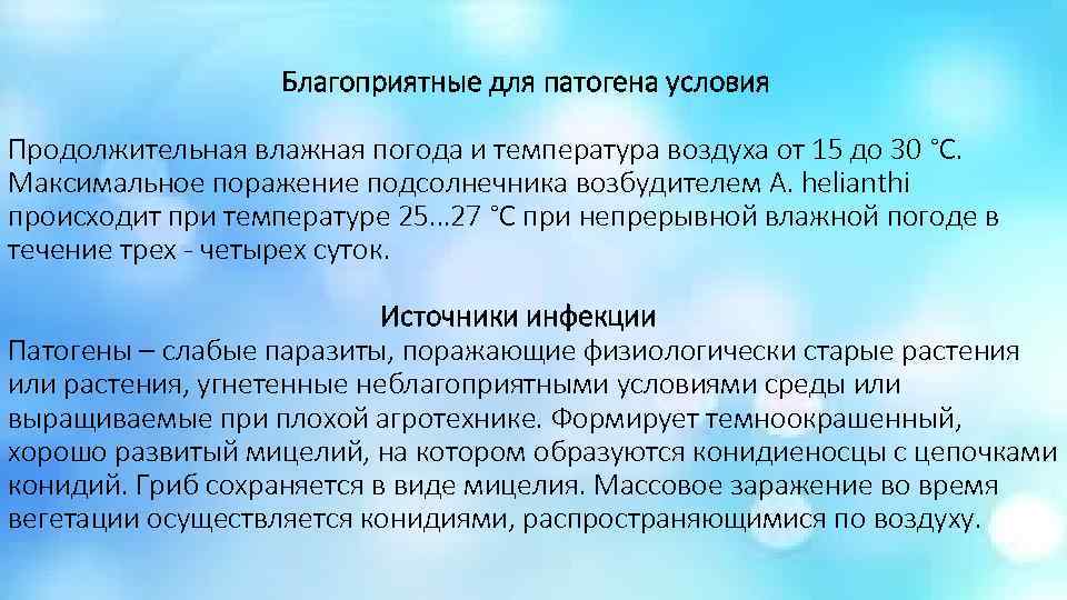       Благоприятные для патогена условия Продолжительная влажная погода и