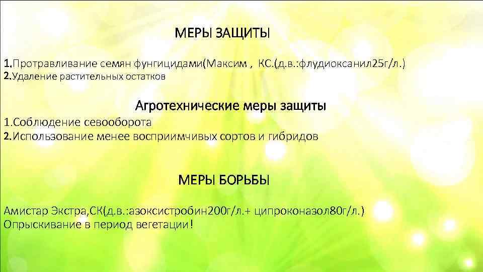        МЕРЫ ЗАЩИТЫ 1. Протравливание семян фунгицидами(Максим ,