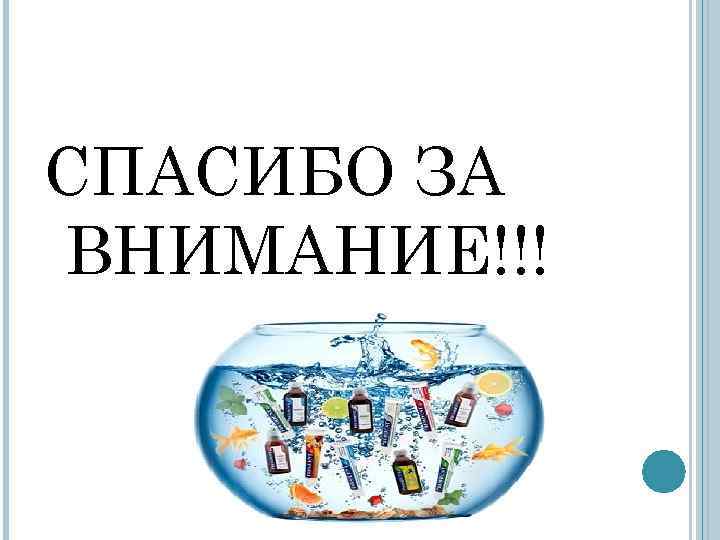 СПАСИБО ЗА ВНИМАНИЕ!!! СПАСИБО ЗА ВНИМАНИЕ!!!