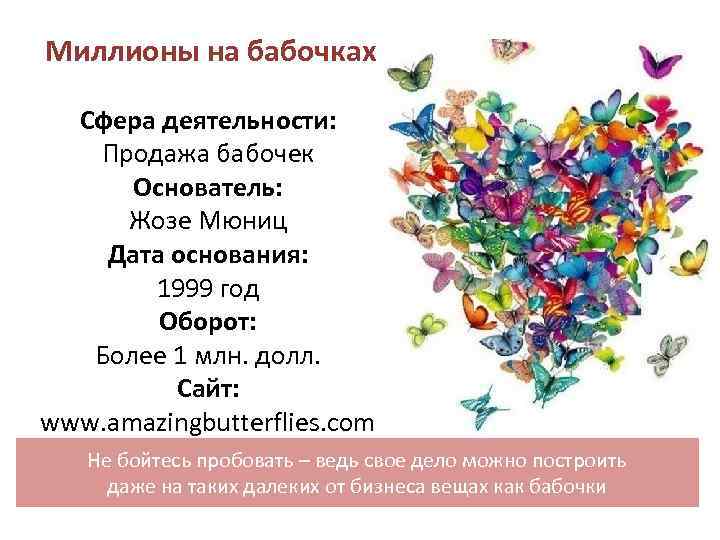 Миллионы на бабочках Сфера деятельности: Продажа бабочек Основатель: Жозе Мюниц Дата Миллионы на бабочках Сфера деятельности: Продажа бабочек Основатель: Жозе Мюниц Дата