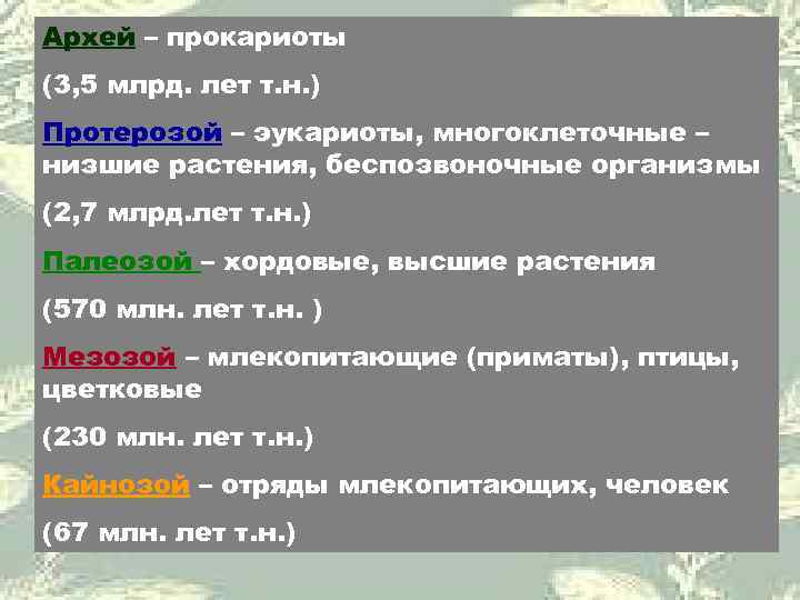Архей – прокариоты (3, 5 млрд. лет т. н. ) Протерозой – эукариоты, многоклеточные