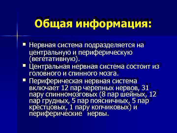  Общая информация: Нервная система подразделяется на центральную и периферическую (вегетативную). Центральная нервная система