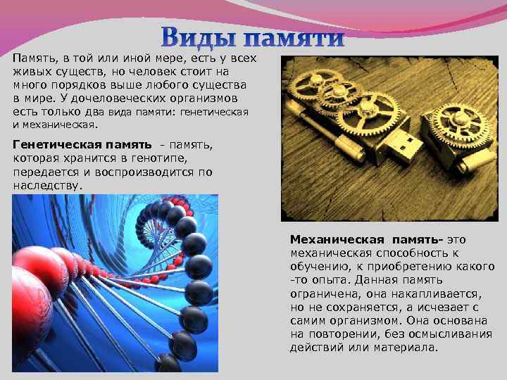      Виды памяти Память, в той или иной мере, есть