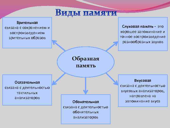 Какой вид образа. Типы памяти слуховая Зрительная. Формы памяти Зрительная слух. Память виды памяти. Виды памяти двигательная.