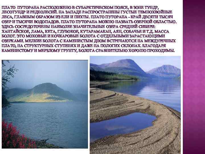 ПЛАТО ПУТОРАНА РАСПОЛОЖЕНО В СУБАРКТИЧЕСКОМ ПОЯСЕ, В ЗОНЕ ТУНДР, ЛЕСОТУНДР И РЕДКОЛЕСИЙ. НА ЗАПАДЕ
