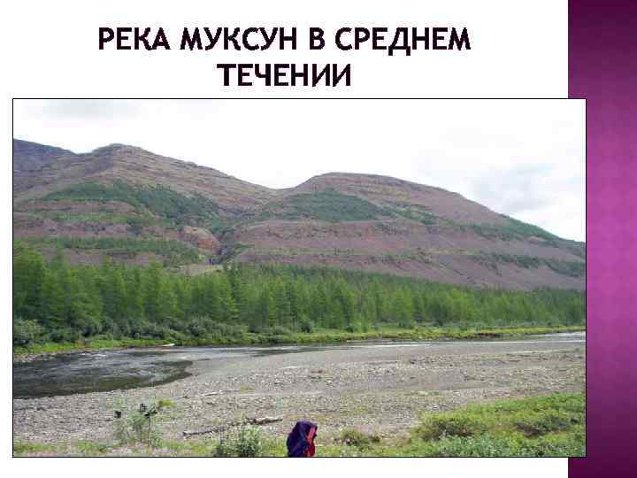РЕКА МУКСУН В СРЕДНЕМ  ТЕЧЕНИИ 