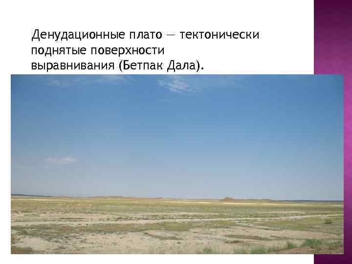 Денудационные плато — тектонически поднятые поверхности выравнивания (Бетпак Дала). 