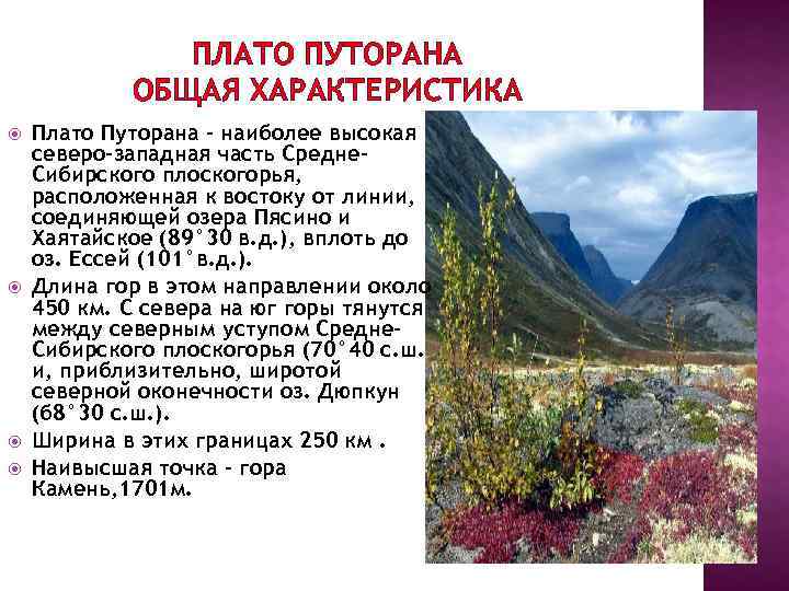     ПЛАТО ПУТОРАНА   ОБЩАЯ ХАРАКТЕРИСТИКА Плато Путорана - наиболее