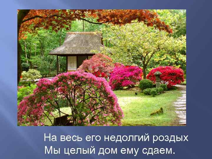 На весь его недолгий роздых Мы целый дом ему сдаем. 