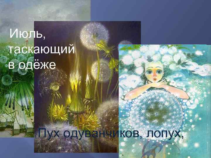 Июль, таскающий в одёже  Пух одуванчиков, лопух, 