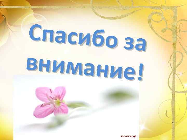 Спасибо за внимание! 