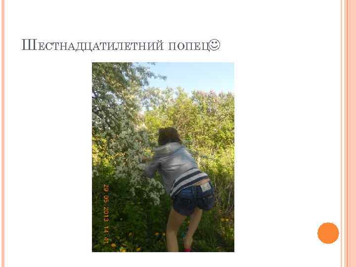 ШЕСТНАДЦАТИЛЕТНИЙ ПОПЕЦ 