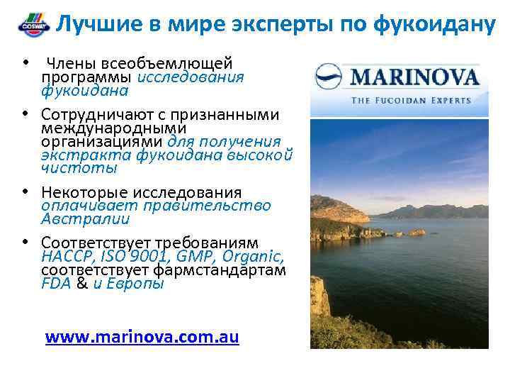 Лучшие в мире эксперты по фукоидану • Члены всеобъемлющей программы исследования фукоидана • Сотрудничают