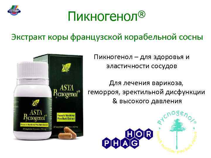 Пикногенол® Экстракт коры французской корабельной сосны Пикногенол – для здоровья и эластичности сосудов Для