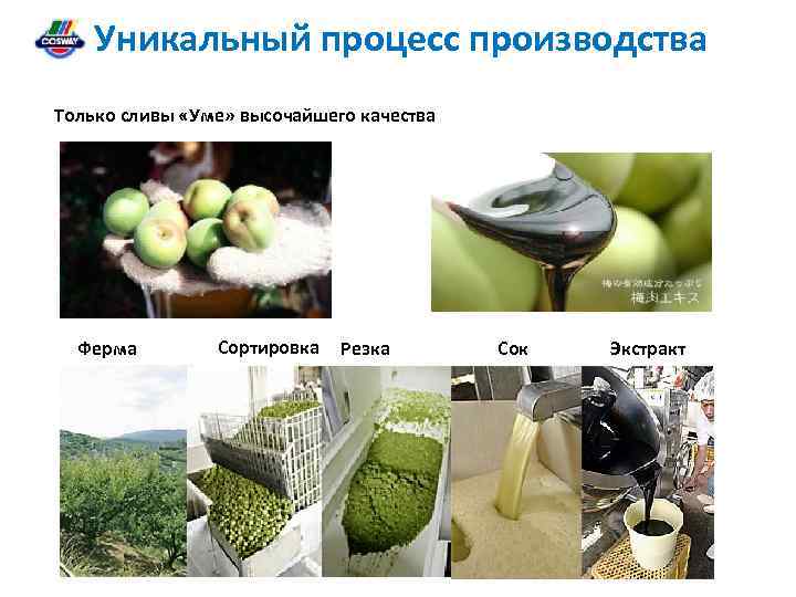 Уникальный процесс производства Только сливы «Уме» высочайшего качества Ферма Сортировка Резка Сок Экстракт 