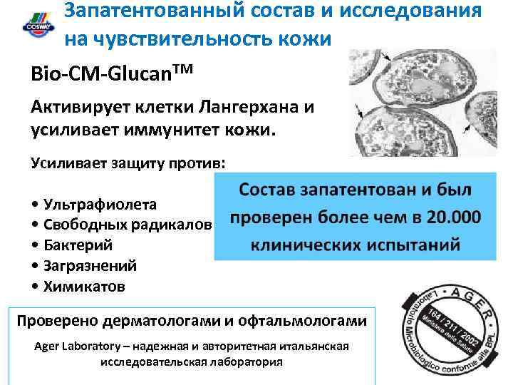 Запатентованный состав и исследования на чувствительность кожи Bio-CM-Glucan. TM Активирует клетки Лангерхана и усиливает
