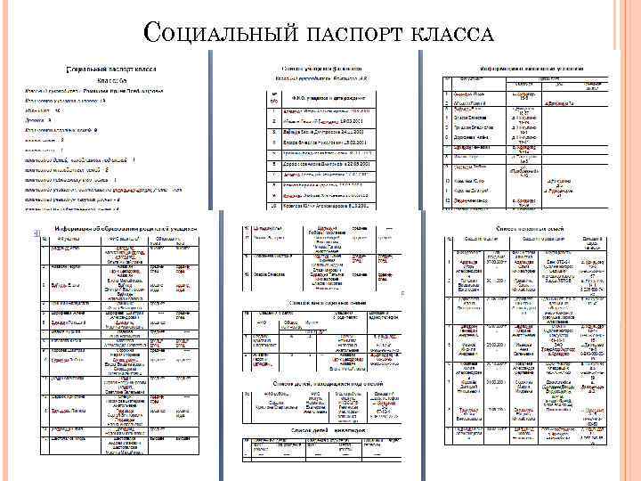 Социальный паспорт класса бланк в виде таблицы эксель