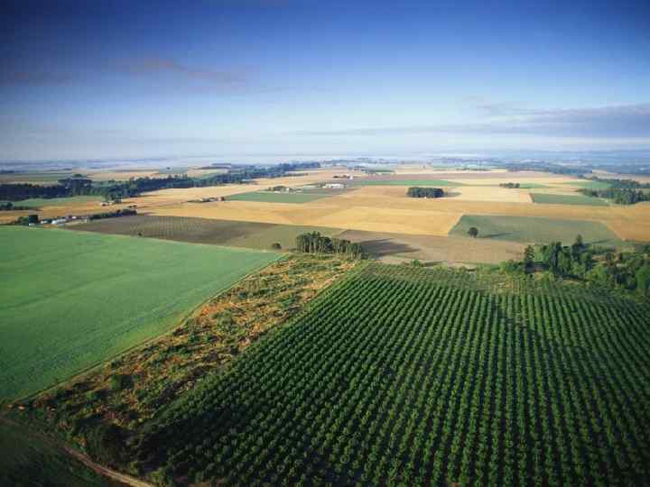  Почвенно-климатические условия Волго-Вятского района в целом благоприятны для развития сельского хозяйства. Территория района