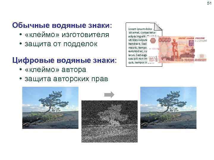 51 Цифровые водяные знаки Обычные водяные знаки: • «клеймо» изготовителя • защита от подделок