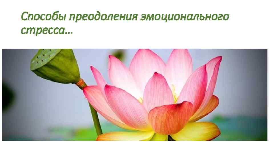 Способы преодоления эмоционального стресса… 