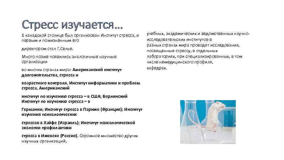 Стресс изучается… В канадской столице был организован Институт стресса, и первым и пожизненным его