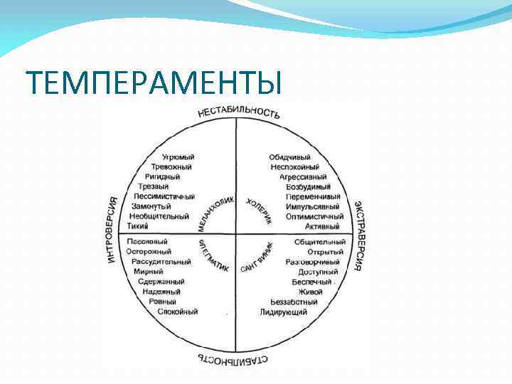 ТЕМПЕРАМЕНТЫ 