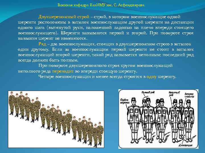 Украина какой строй. Двухшереножный Строй военнослужащих. Ряд шеренга колонна. Построение в двухшереножный Строй. Построение солдат в шеренгу.