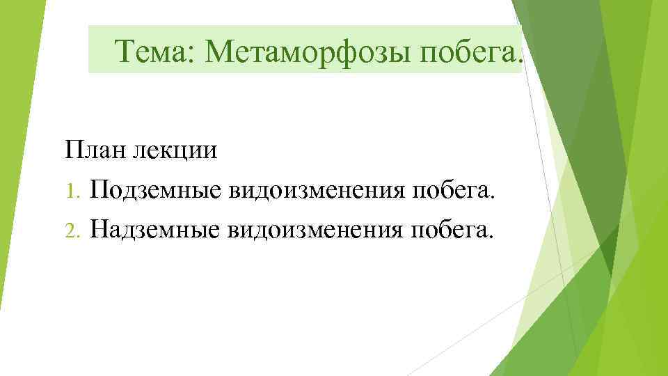 Тема: Метаморфозы побега. План лекции 1. Подземные видоизменения побега. 2. Надземные видоизменения побега. 