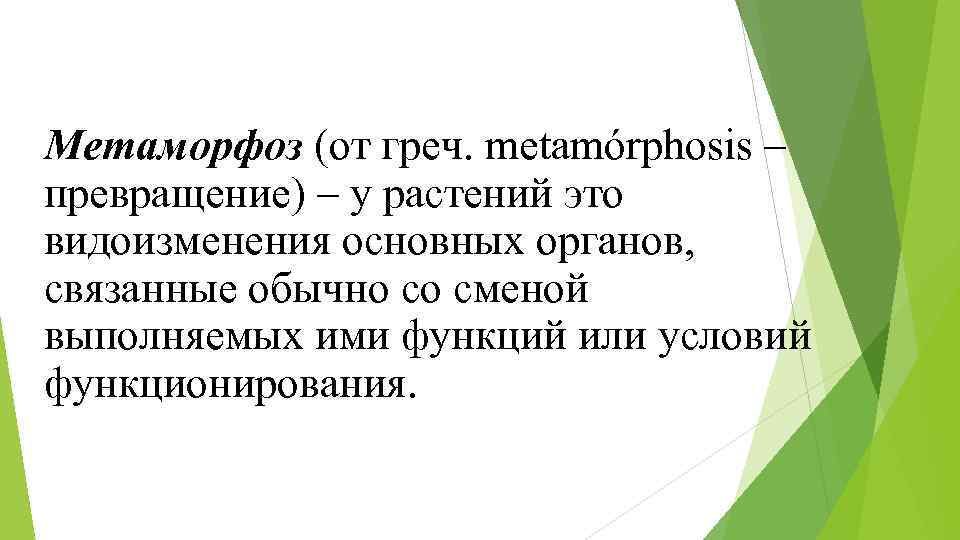 Метаморфоз (от греч. metamórphosis – превращение) – у растений это видоизменения основных органов, связанные