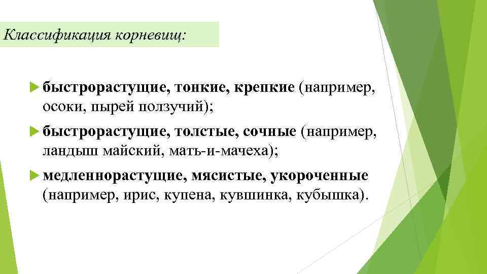 Классификация корневищ: быстрорастущие, тонкие, крепкие (например, осоки, пырей ползучий); быстрорастущие, толстые, сочные (например, ландыш