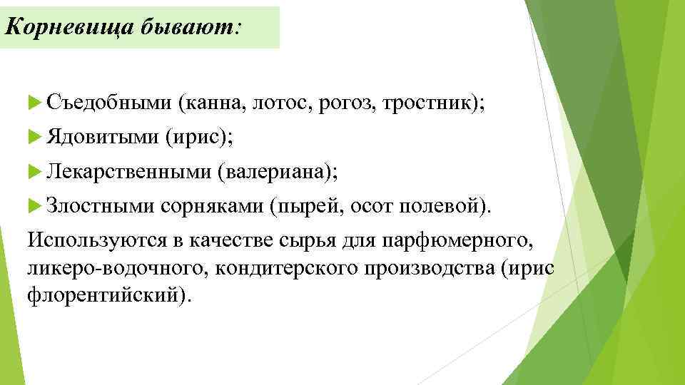 Корневища бывают: Съедобными (канна, лотос, рогоз, тростник); Ядовитыми (ирис); Лекарственными (валериана); Злостными сорняками (пырей,