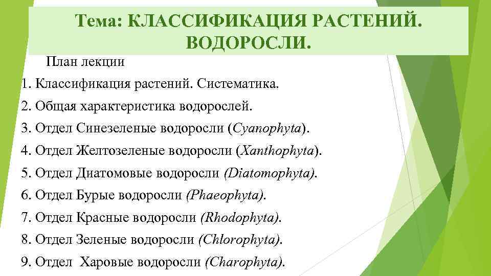 Тема: КЛАССИФИКАЦИЯ РАСТЕНИЙ. ВОДОРОСЛИ. План лекции 1. Классификация растений. Систематика. 2. Общая характеристика водорослей.
