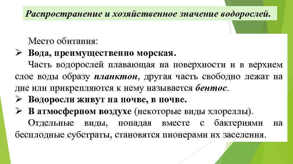 Распространение и хозяйственное значение водорослей. Место обитания: Ø Вода, преимущественно морская. Часть водорослей плавающая