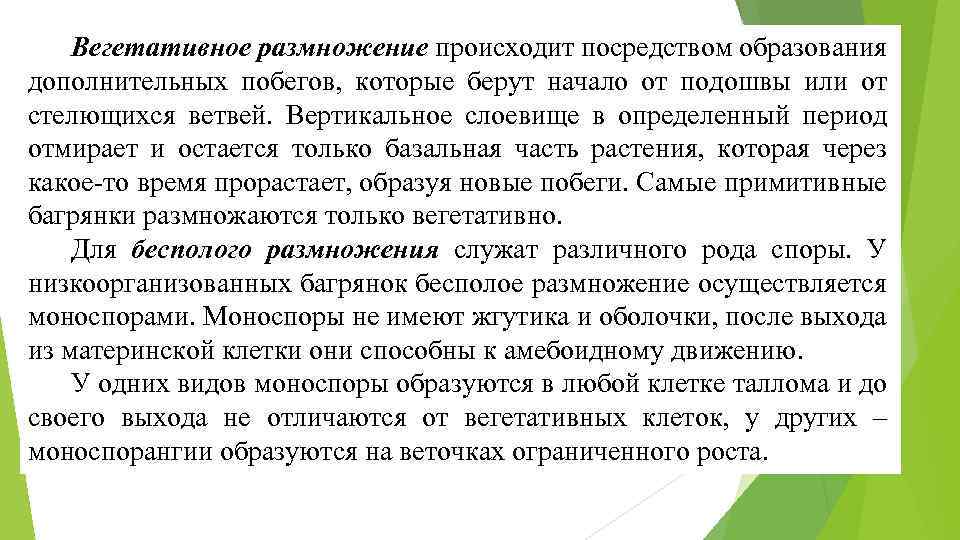 Вегетативное размножение происходит посредством образования дополнительных побегов, которые берут начало от подошвы или от