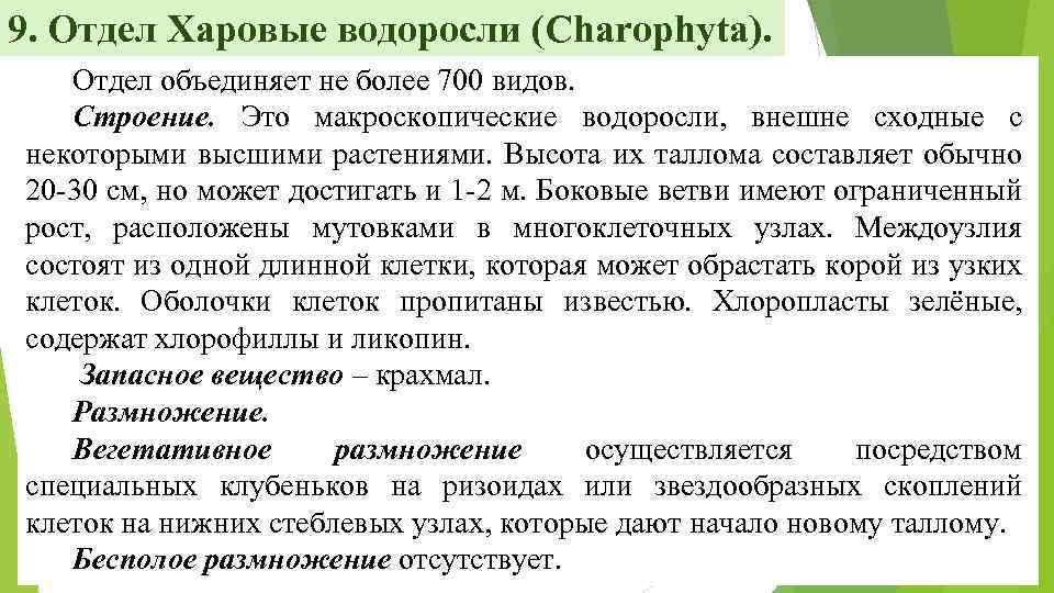 9. Отдел Харовые водоросли (Charophyta). Отдел объединяет не более 700 видов. Строение. Это макроскопические