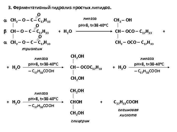 Гидролиз триолеина. Уравнение реакции щелочного гидролиза тристеарата глицерина. Ферментативный гидролиз сложных липидов.