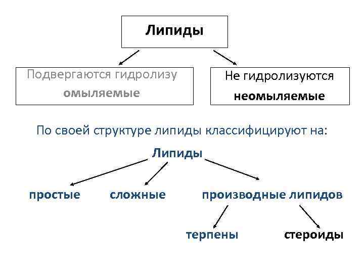 Омыляемые и неомыляемые липиды презентация