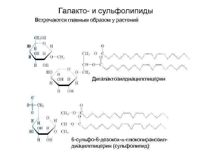 Галакто- и сульфолипиды Встречаются главным образом у растений Дигалактозилдиацилглицерин 6 -сульфо-6 -дезокси- -глюкопиранозилдиацилглицерин (сульфолипид)