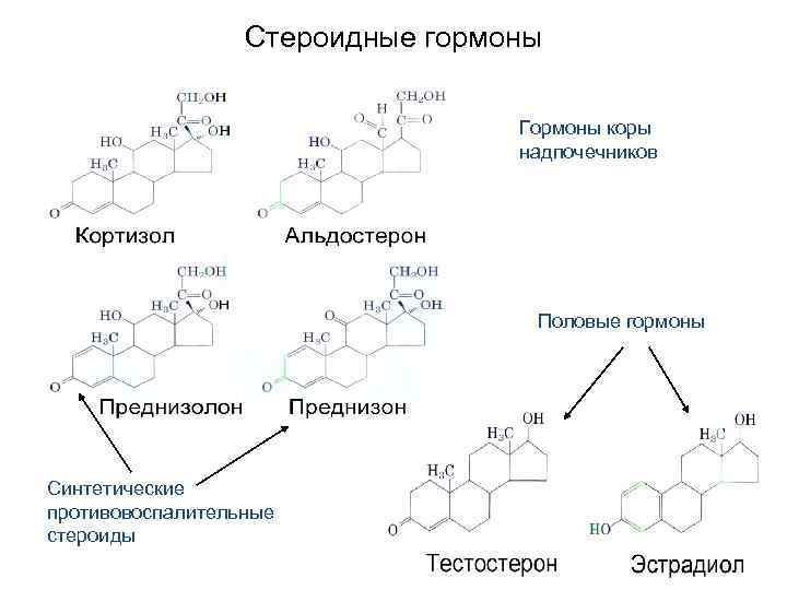 Стероидные гормоны Гормоны коры надпочечников Половые гормоны Синтетические противовоспалительные стероиды 