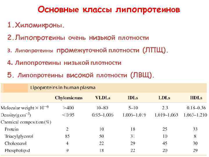 Липопротеин альфа повышен