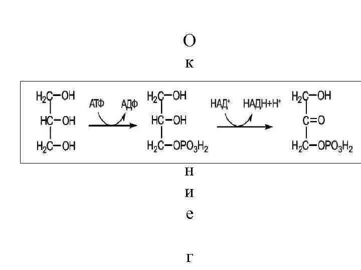 О к и с л е н и е г 