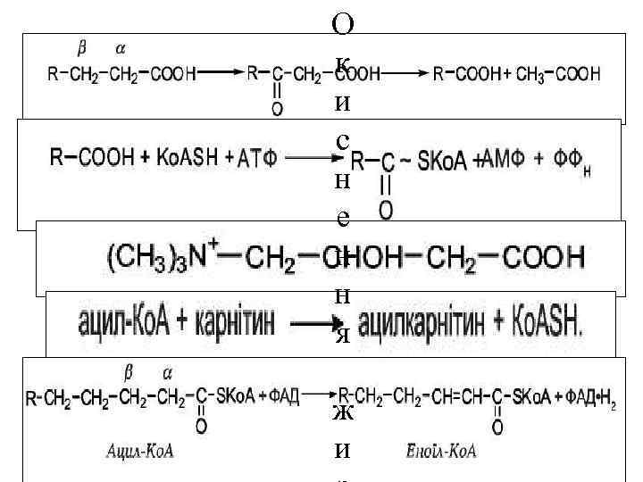 О к и с н е н н я ж и 