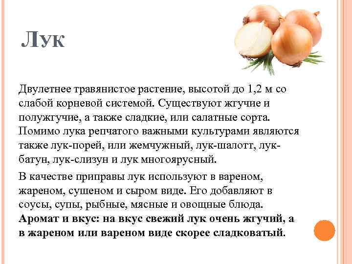 ЛУК Двулетнее травянистое растение, высотой до 1, 2 м со слабой корневой системой. Существуют