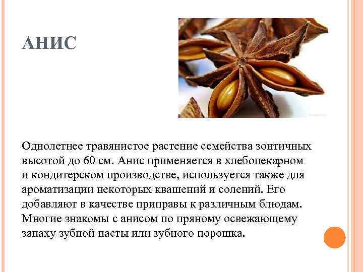 АНИС Однолетнее травянистое растение семейства зонтичных высотой до 60 см. Анис применяется в хлебопекарном