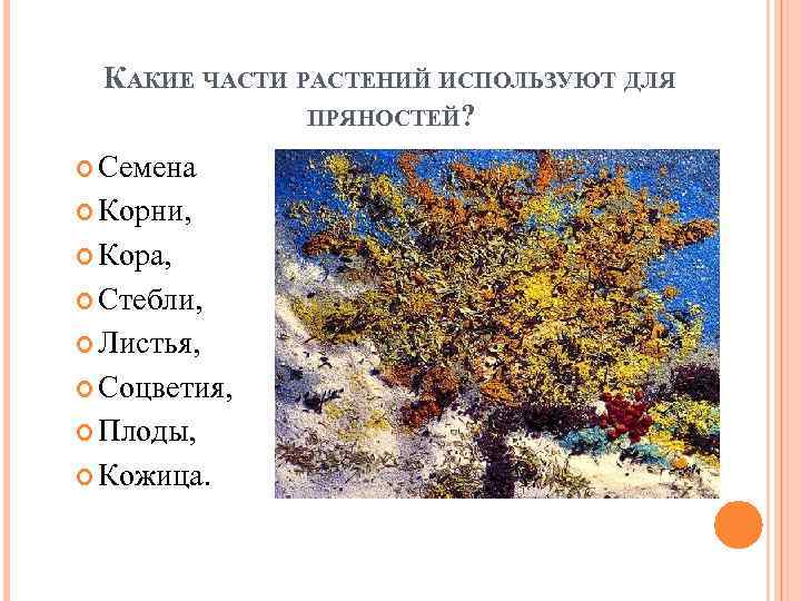 КАКИЕ ЧАСТИ РАСТЕНИЙ ИСПОЛЬЗУЮТ ДЛЯ ПРЯНОСТЕЙ? Семена Корни, Кора, Стебли, Листья, Соцветия, Плоды, Кожица.